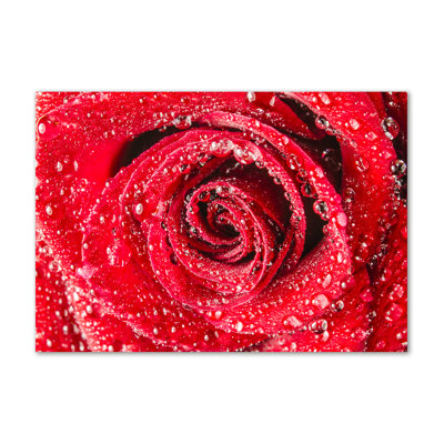 Water Drops On A Rose - Wrapped Canvas Print