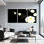 Pivoine, pivoines blanches sur fond noir, ensemble de 3 impressions sur toile-2122349911