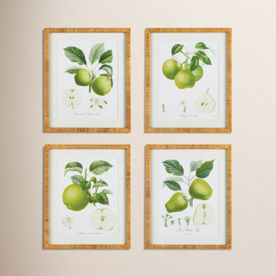Fruit Study Print Set