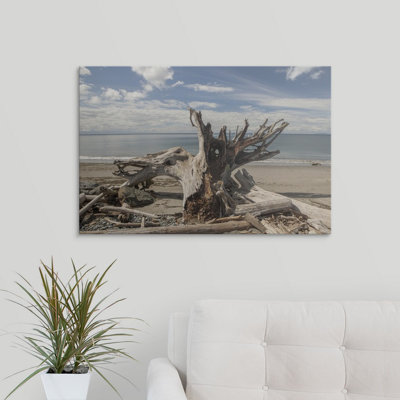 "Mccafferty" Driftwood "par Aaron Matheson, reproduction de photo