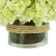 Cream Hydrangea in Rope Glass Vase-356774882