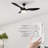 Gannicus 52'' Ceiling Fan with LED Lights