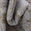 Tapis brun clair-beige Transition Oppie-1407303955