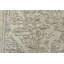 Tapis Erardo