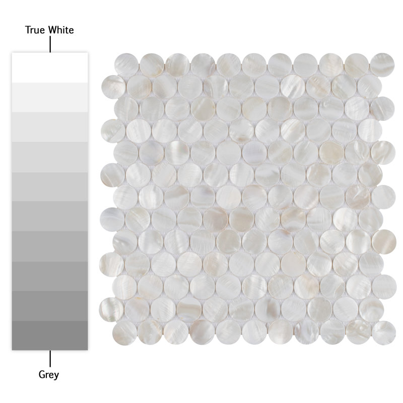 Conchella Penny White 11-1/4" x 11-5/8" Natural Shell Mosaic Tile