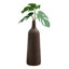  Vase de table Lakista-95418569-98572913