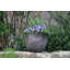 Einar Pot Planter-1529118358-1529118355