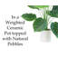 Plante en faux pot 28 po Riggs