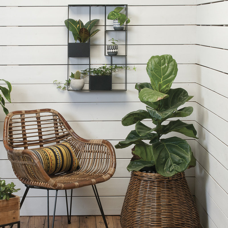Tablette pour plante Trisara