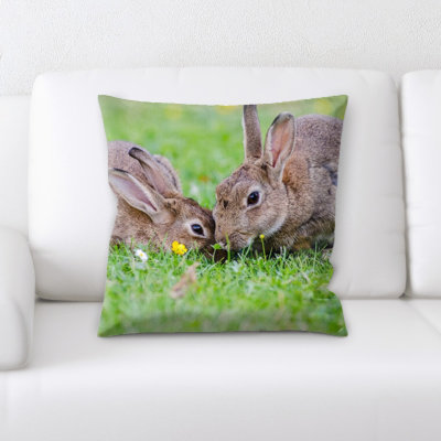 Coussin de lapin européen