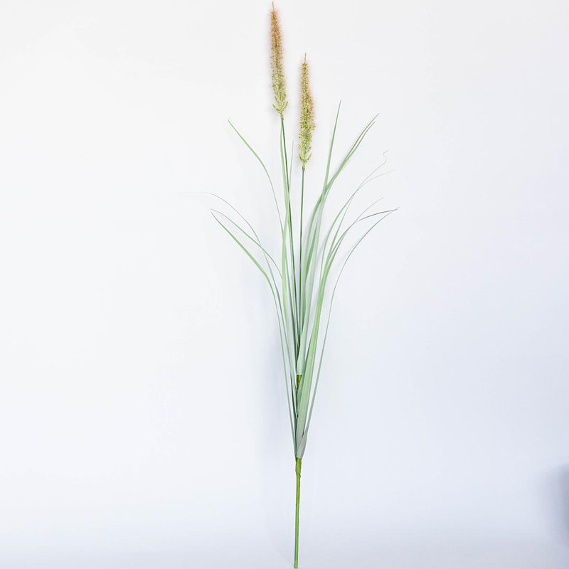 Tige d'oignon, plantes artificielles et arbres