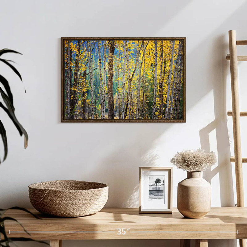 Kootenay Fall II, 19 po x 13 po, Cadre flottant en noyer
