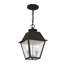 Lanterne suspendue d'extérieur 2 lumières Arnetria-22670196