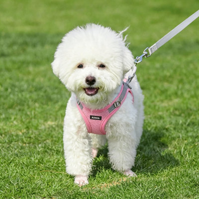 Reflective Mesh Dog Harness and Leash Set - Adjustable No-Pull Vest for Small Dogs & Cats, Soft Breathable Walking Gear