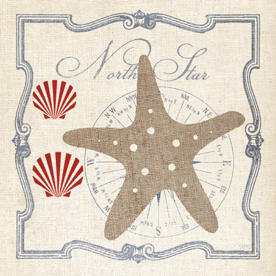 Pacific Starfish 1 Piece Wrapped Canvas Painting