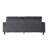 2-Seater Couch (Gray)