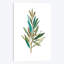 Olive III par Asia Jensen - reproduction d'art sur toile tendue-31880773-73267943-73277272