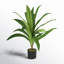 Yardley 36'' Faux Dracaena Plant in Pot