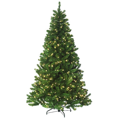 Lighted Christmas Tree