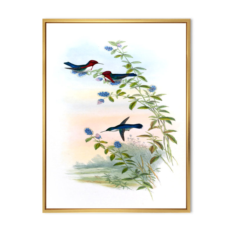 Colibri rétro II - peinture sur toile, Cadre flottant doré, H 40 po x l 30 po x 1,5 po