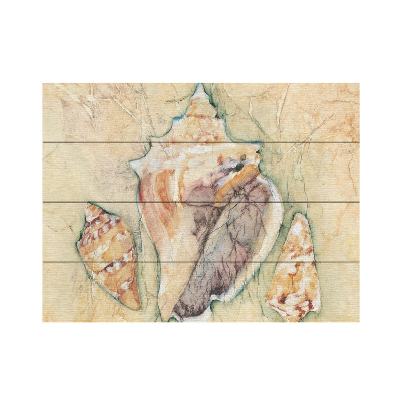 Art de lattes en bois Cheri Blum Shells III, 12" H x 16" W
