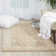 Martina Viscose Oriental Indoor Rug