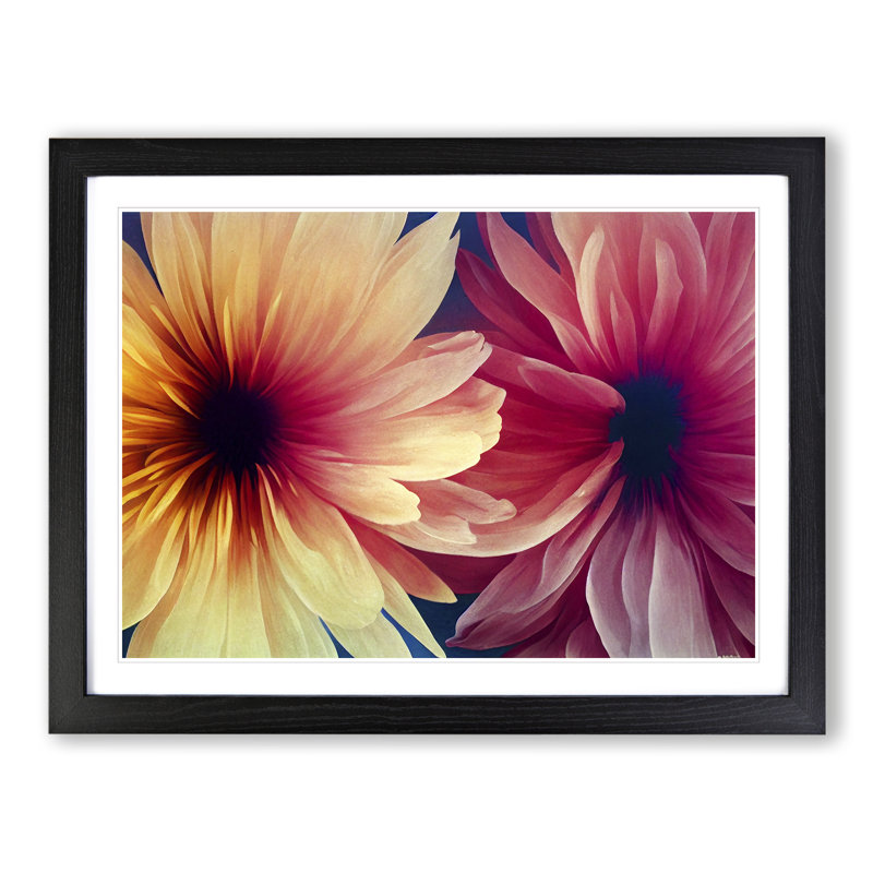 XH1022-6890X Phenomenal Flowers - Single Picture Frame Print, Black, 25cm H x 34cm W x 2cm D