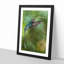 Green Hermit Hummingbird - Picture Frame Painting Print-56740067-56740066