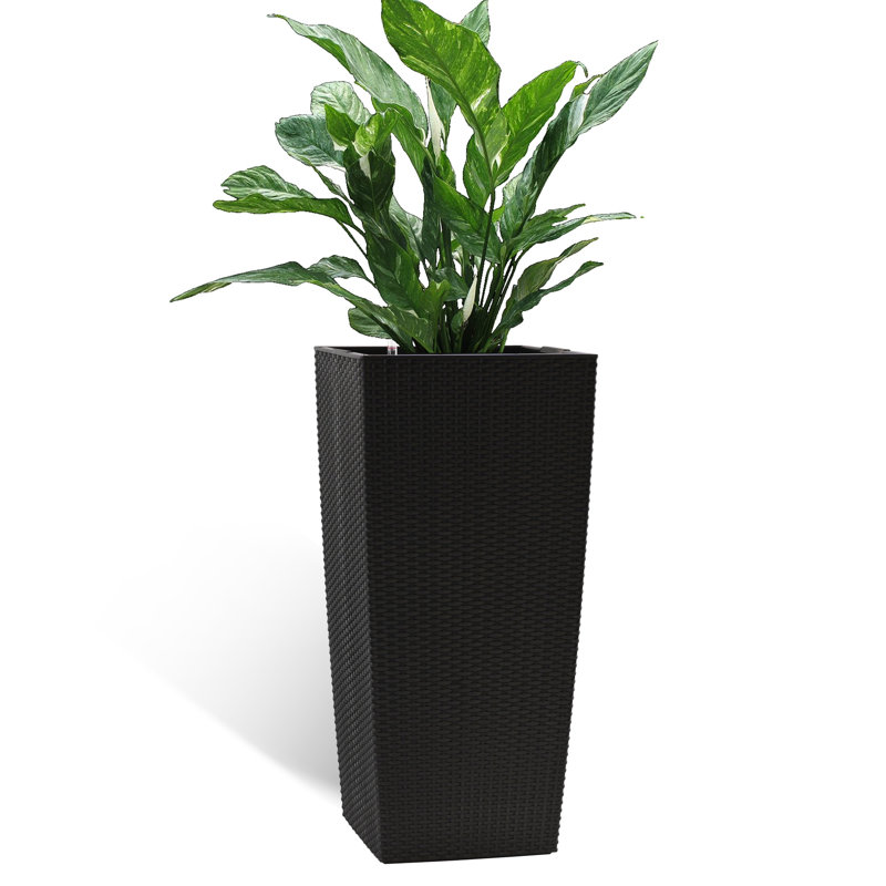 Jardinière noire de 30 pouces avec arrosage automatique