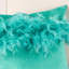 Coussin décoratif en plumes-1263361731-1263361752-1228598421