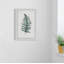 Edite Fern, reproduction encadrée-311273763