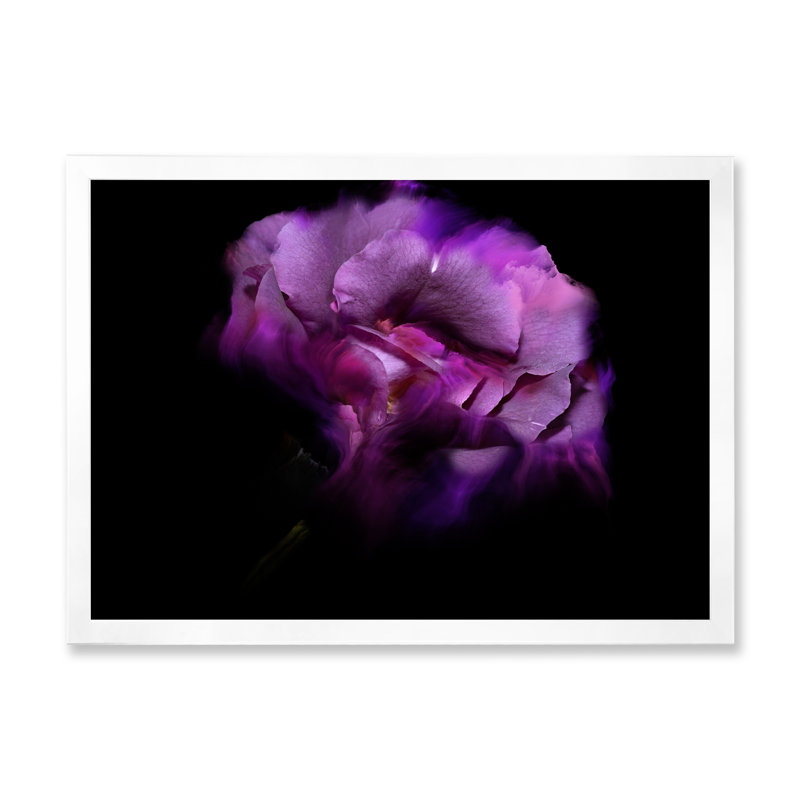 «Purple Dark Fractal Flower IV», reproduction de cadre photo sur toile, H 8 po x l 12 po x P 1 po, Cadre photo blanc