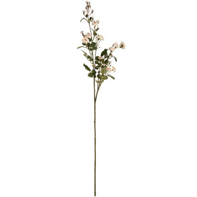 Arrangement