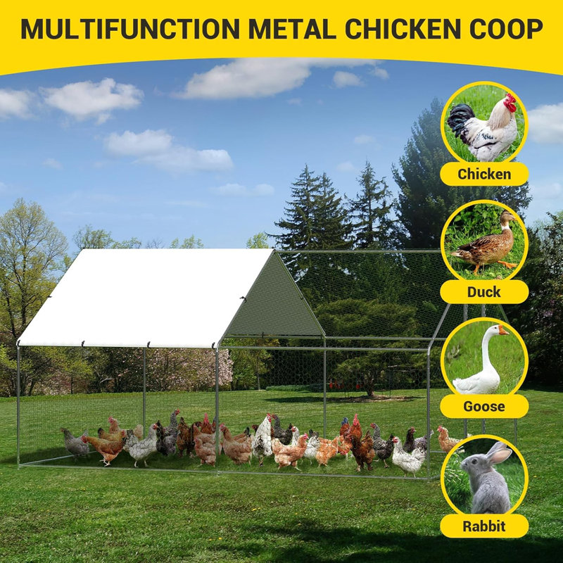 Chicken Run, 199.9cm H x 398.8cm W x 299.7cm D