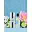 House & Home Room Spray-1617128561