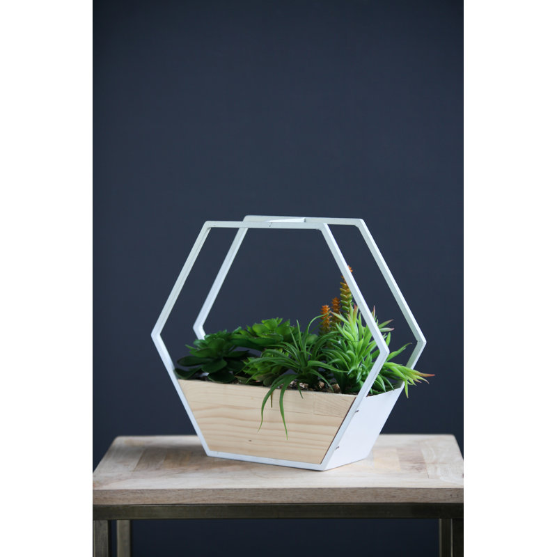 30.5Cm Artificial Succulent in White Hexagonal Planter