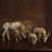 Forest Stag Grazing