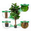 Figuier figuier en pot 48 po Engel-96917977