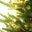 Sapin de Noël artificiel en polyéthylène pré-illuminé de 122 cm (4 pi) avec 150 DEL blanc chaud et branches articulées