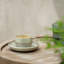 Villeroy & Boch - Tasse à espresso Alga Perlemor, 2 oz, porcelaine de qualité supérieure, fabriquée en Allemagne, va au lave-vaisselle et au micro-ondes, vert