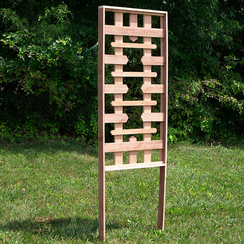 Adayshia Premium Cedar Camelot Trellis