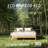 Amylia 14'' Heavy Duty Bamboo iron Platform Bed Frame No Box Spring Required-147289322
