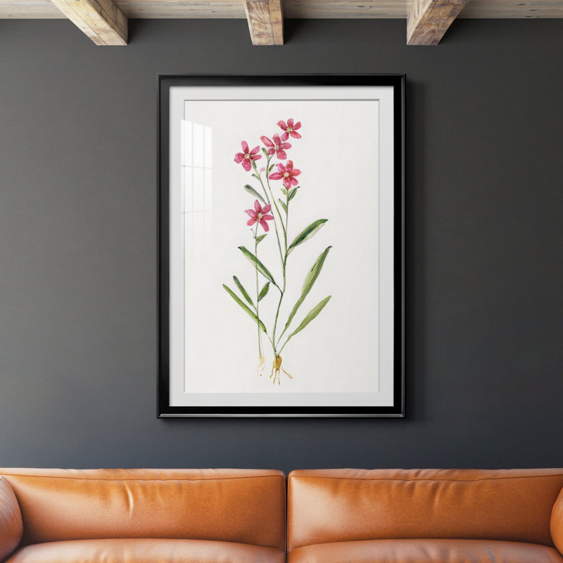 Delicate Pink II - peinture encadrée, H 30,5 po x l 42,5 po x P 1,5 po, Noir