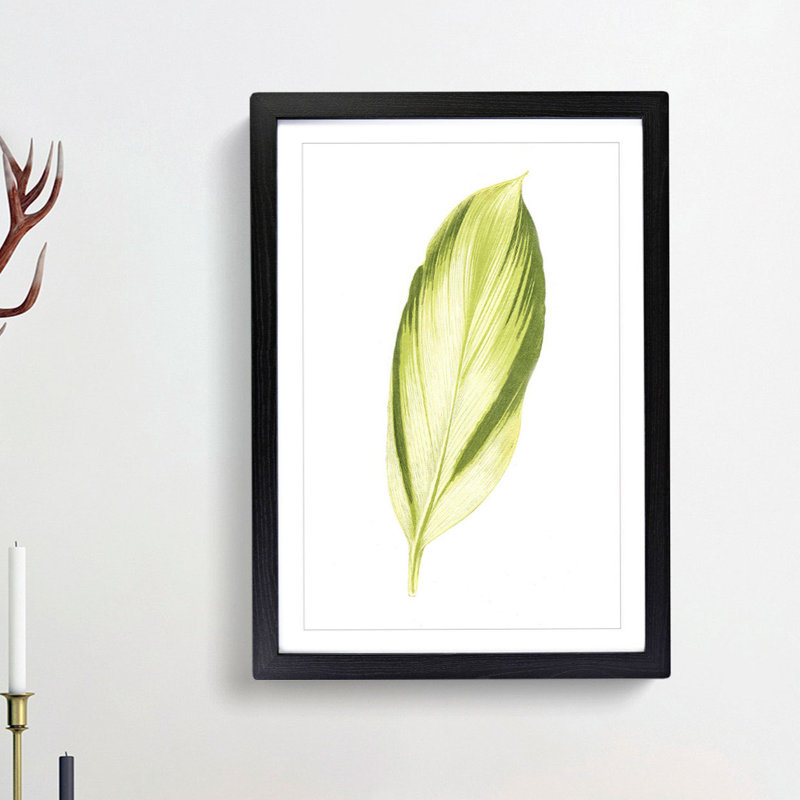 Pretty Green Leaf by Benjamin Fawcett - Picture Frame Painting Print, Black, 50cm H x 35cm W x 2cm D