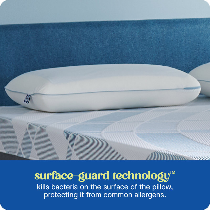 Sealy Dreamlife Standard Memory Foam Gel Pillow