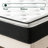 Wayfair Sleep 8" Plush Pillow Top Hybrid Mattress-66575447