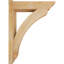 Sapin Douglas Douglas-31644783-31651719