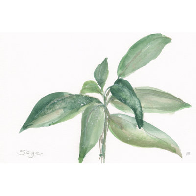 «Sage I» par Chris Paschke, reproduction d'art sur toile tendue