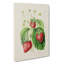 Illustration of Strawberries - Wrapped Canvas-55304397