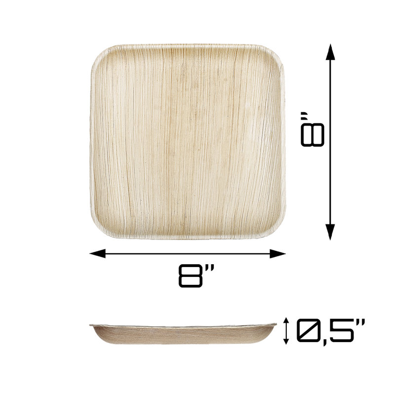 Assiettes jetables de 8 po - Compostables